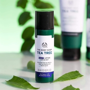 Cek Bpom Tea Tree Night Lotion The Body Shop