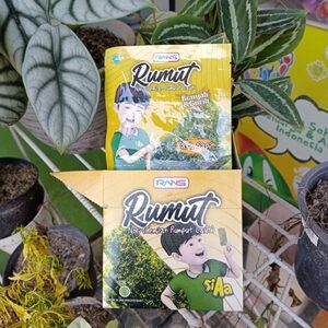 Cek Bpom Nori Rasa Ayam Rumut