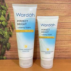 CEK BPOM Perfect Bright Creamy Foam Bright + Oil Control