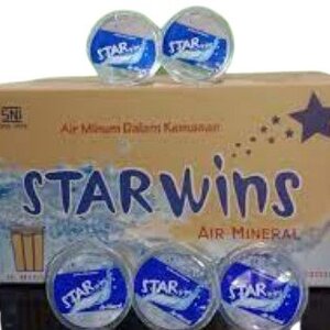 Cek Bpom Air Minum Dalam Kemasan (Air Mineral) Starwins