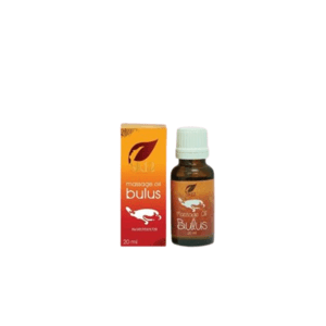 Cek Bpom Minyak Bulus Massage Oil Hanza